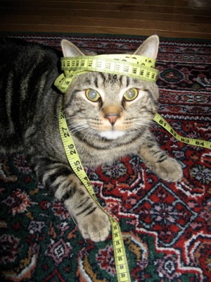 KojiroTape